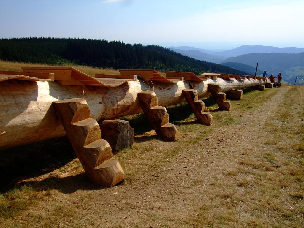 Bergseele Privat- & Retreathotel Schwarzwald Todtnauberg Exteriér fotografie