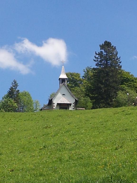 Bergseele Privat- & Retreathotel Schwarzwald Todtnauberg Exteriér fotografie