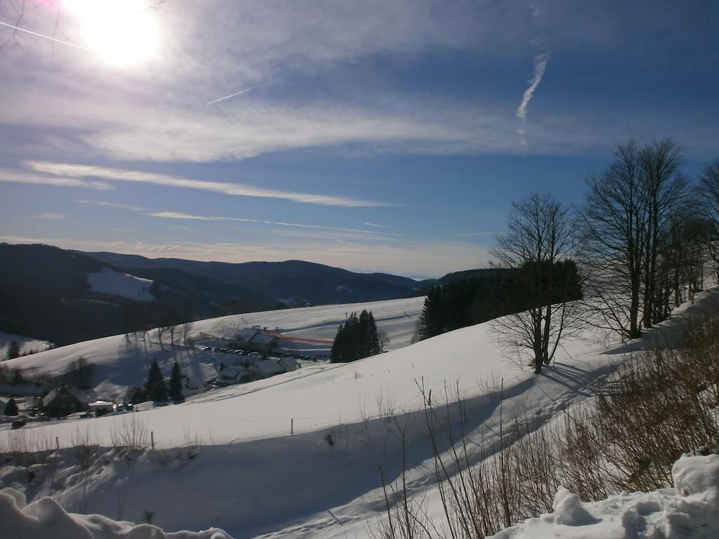 Bergseele Privat- & Retreathotel Schwarzwald Todtnauberg Exteriér fotografie
