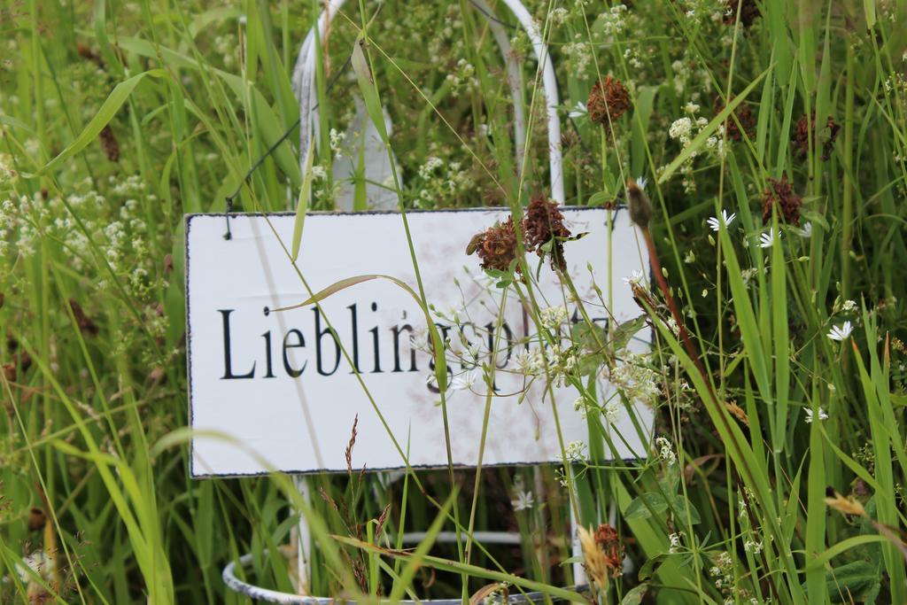 Bergseele Privat- & Retreathotel Schwarzwald Todtnauberg Exteriér fotografie